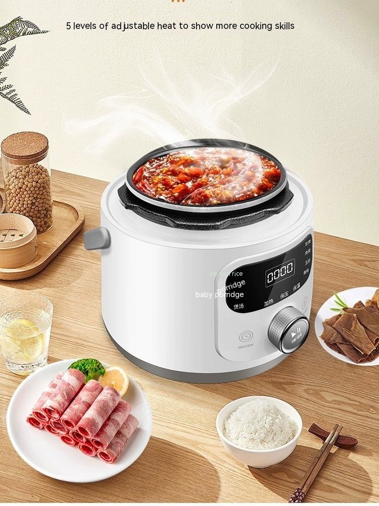 110V V Electric Pressure Cooker